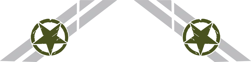 2020-2026 Gladiator Cab and Bed Side Bar Stripes Graphic graphic design style 01 image.